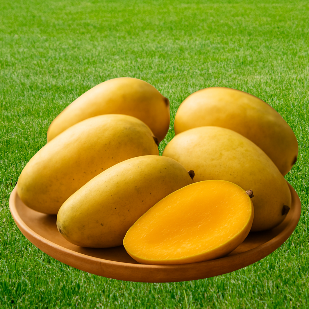 Dussehri Mangoes