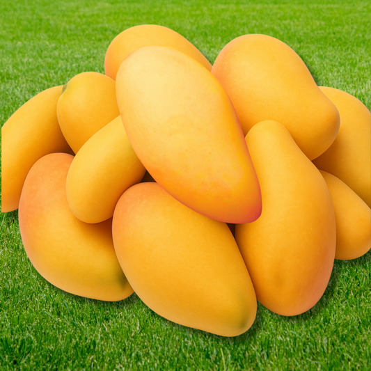 Nam Dok Mai Exotic Mangoes