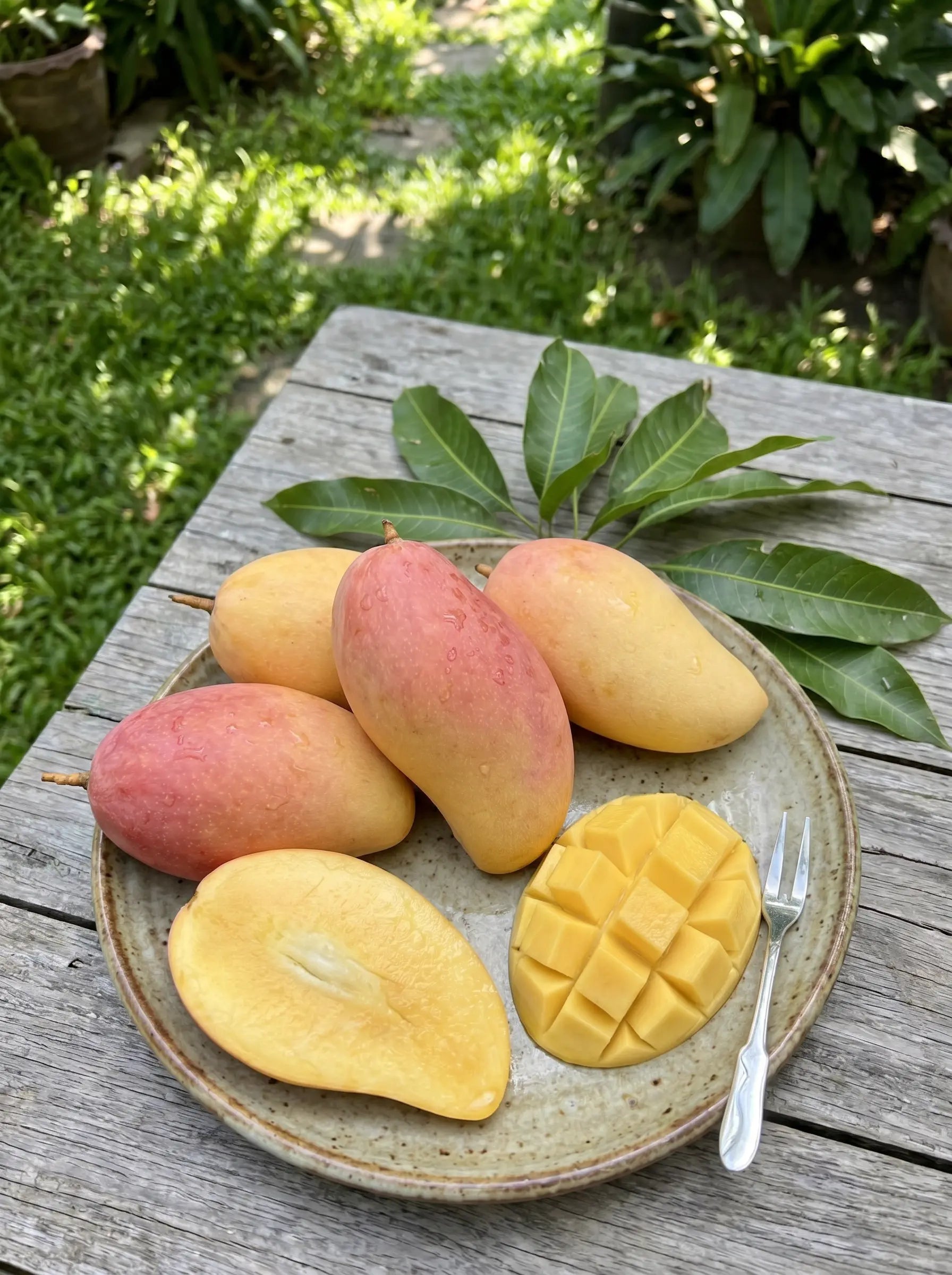 Thailand Nam Dok Mai Pink Mango: A Premium Tropical Delight