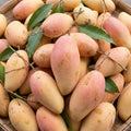 Thailand Nam Dok Mai Pink Mango: A Premium Tropical Delight