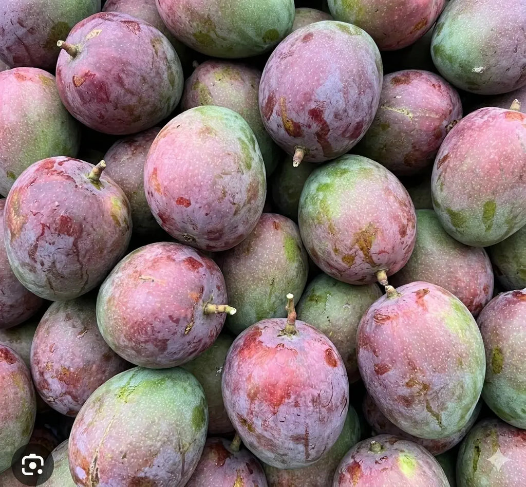 Sensation Mango from Florida, USA: A Unique Blend of Flavor and Color