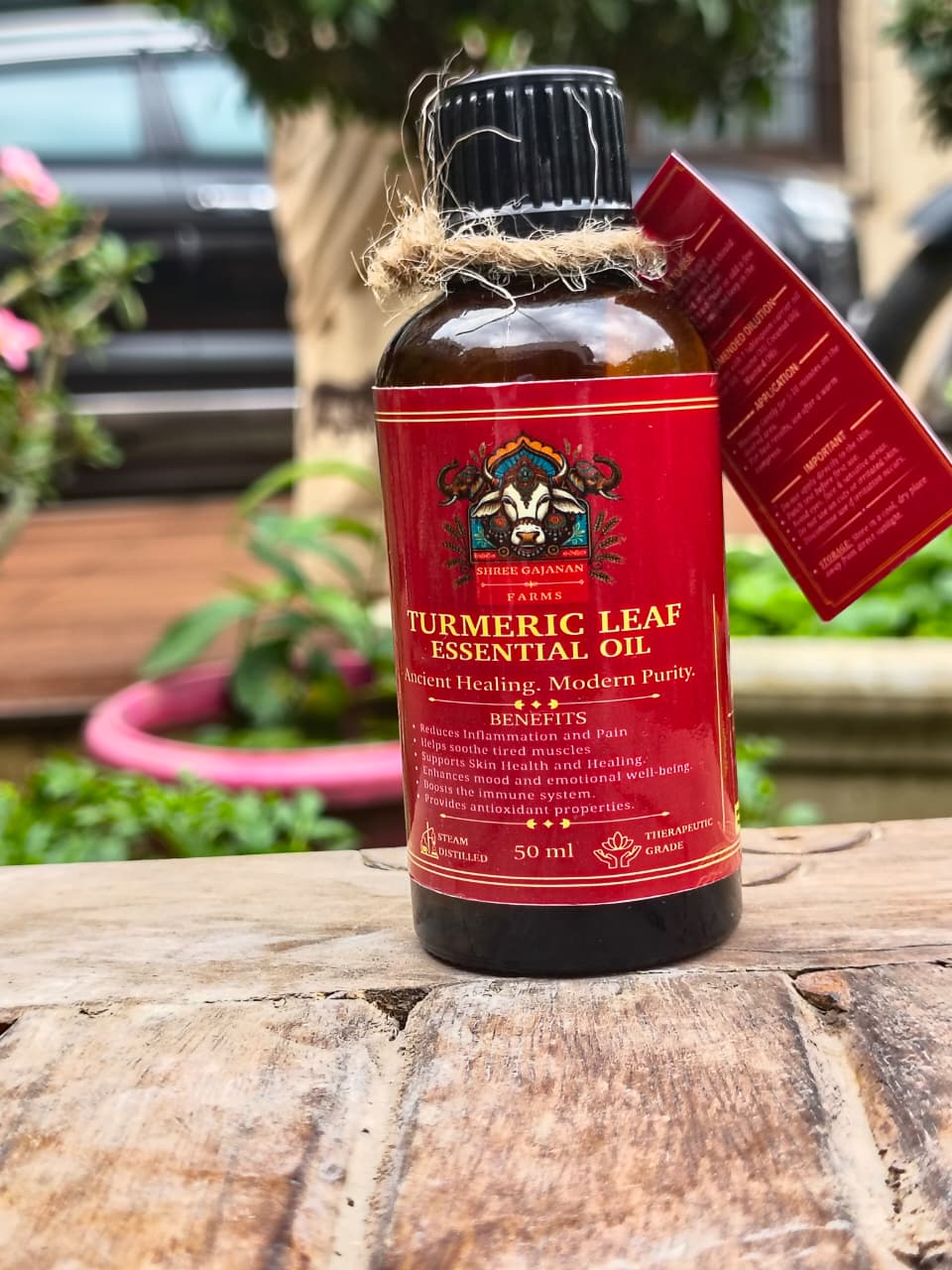 Turmeric Leaf Oil